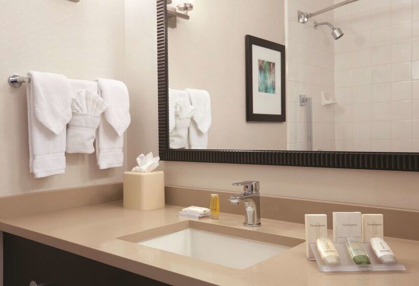 هتل Hilton Garden Inn Chicago Downtown/magnificent Mile