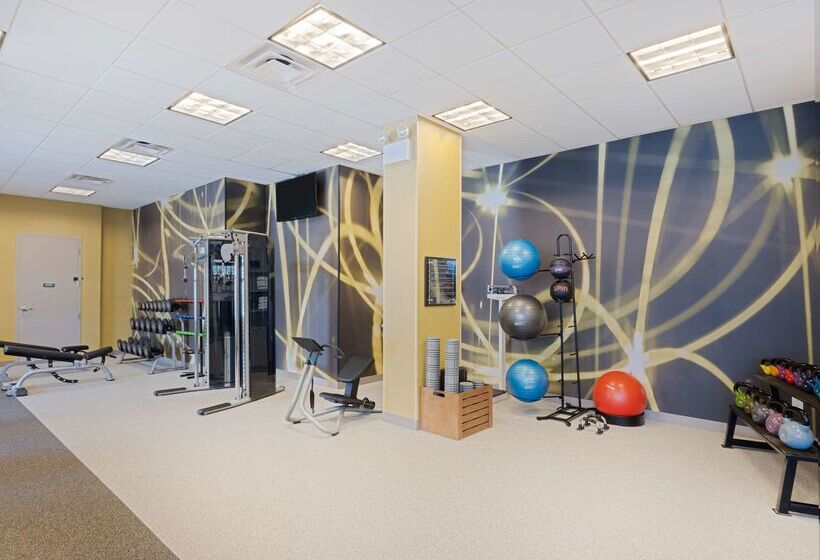 هتل Hilton Garden Inn Chicago Downtown/magnificent Mile