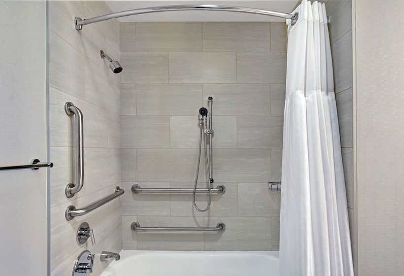 هتل Hilton Garden Inn Chicago Downtown/magnificent Mile