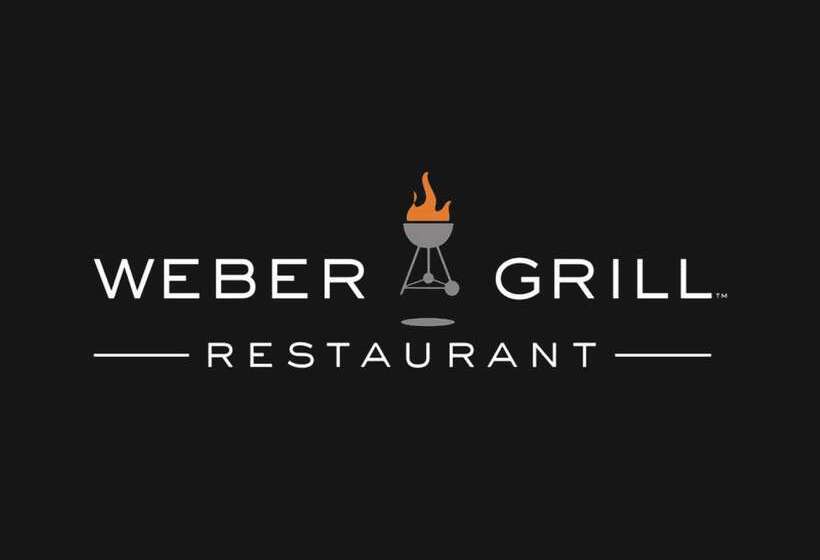 هتل Hilton Garden Inn Chicago Downtown/magnificent Mile