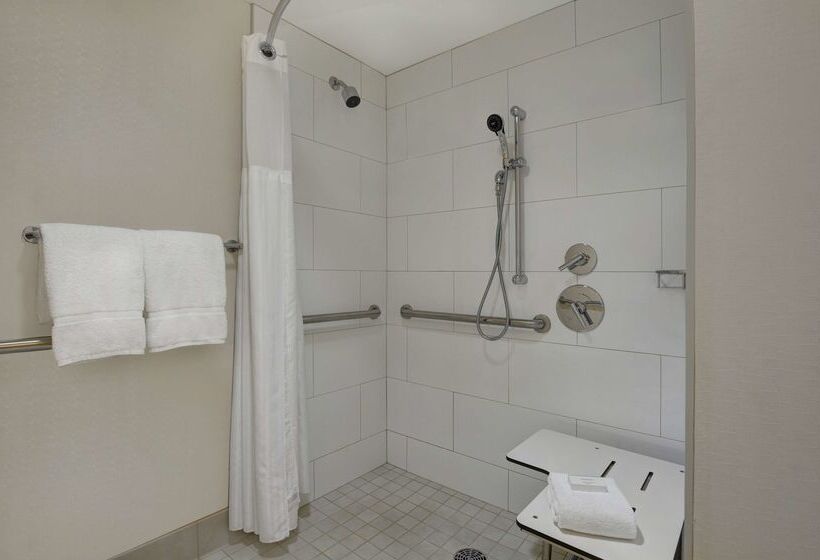 هتل Hilton Garden Inn Chicago Downtown/magnificent Mile