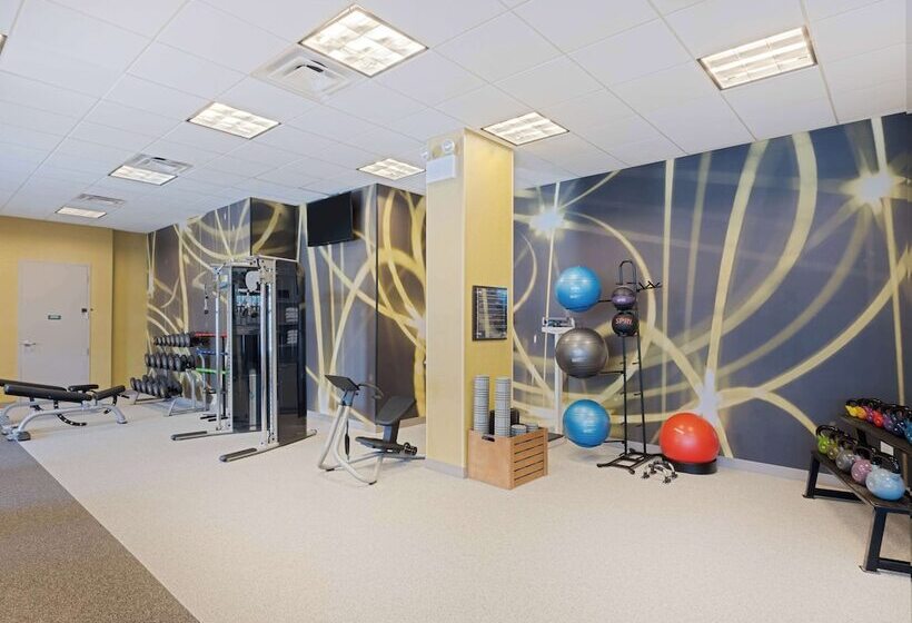 هتل Hilton Garden Inn Chicago Downtown/magnificent Mile