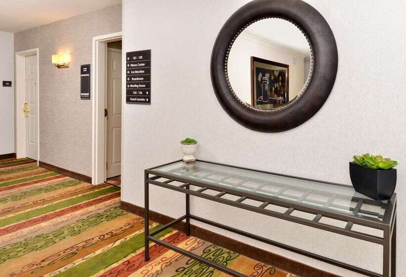 ホテル Hilton Garden Inn Dallas/addison