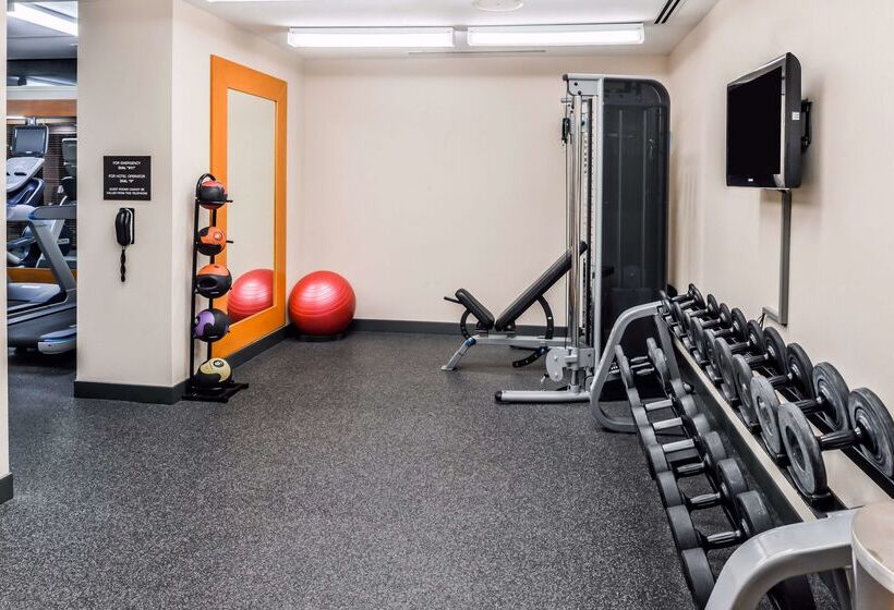 فندق Hilton Garden Inn Detroit   Southfield, Mi