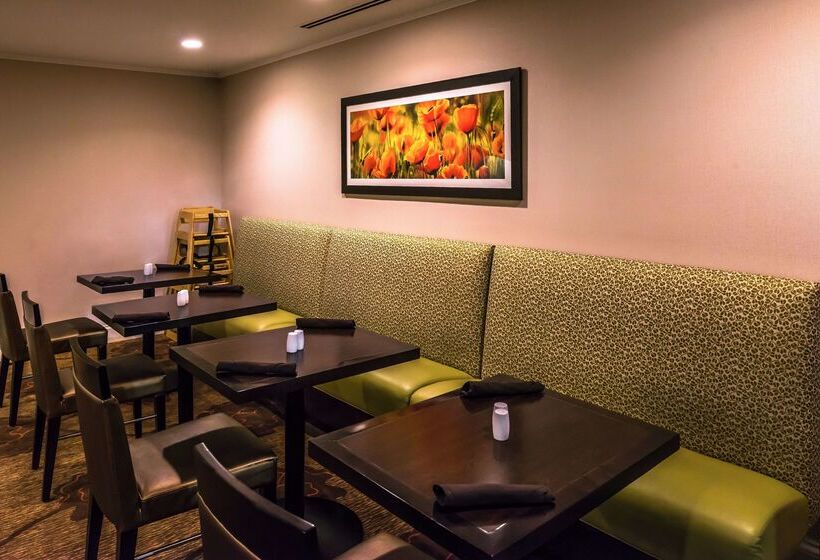 فندق Hilton Garden Inn Detroit   Southfield, Mi