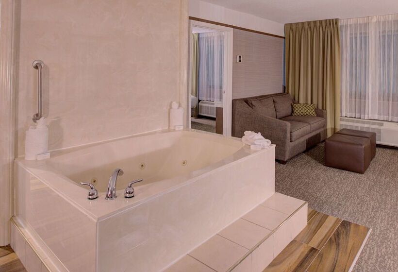 فندق Hilton Garden Inn Detroit   Southfield, Mi