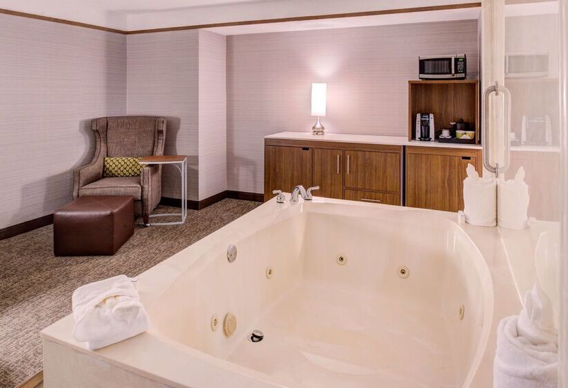 فندق Hilton Garden Inn Detroit   Southfield, Mi