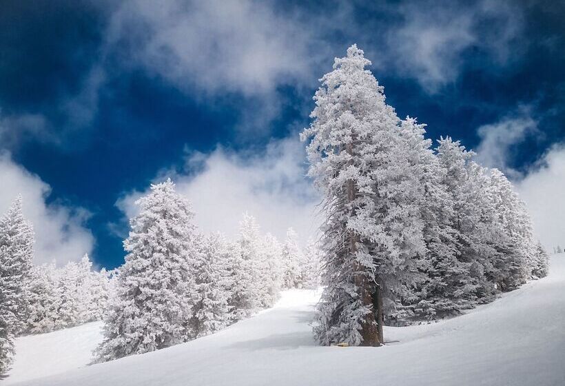 هتل Hilton Garden Inn Flagstaff