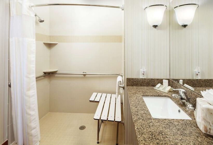 ホテル Hilton Garden Inn Lake Mary