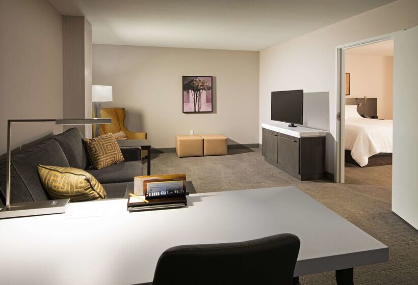 هتل Hilton Garden Inn Las Colinas