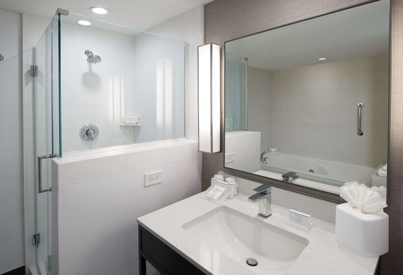 هتل Hilton Garden Inn Las Colinas