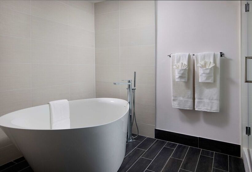 هتل Hilton Garden Inn Las Colinas