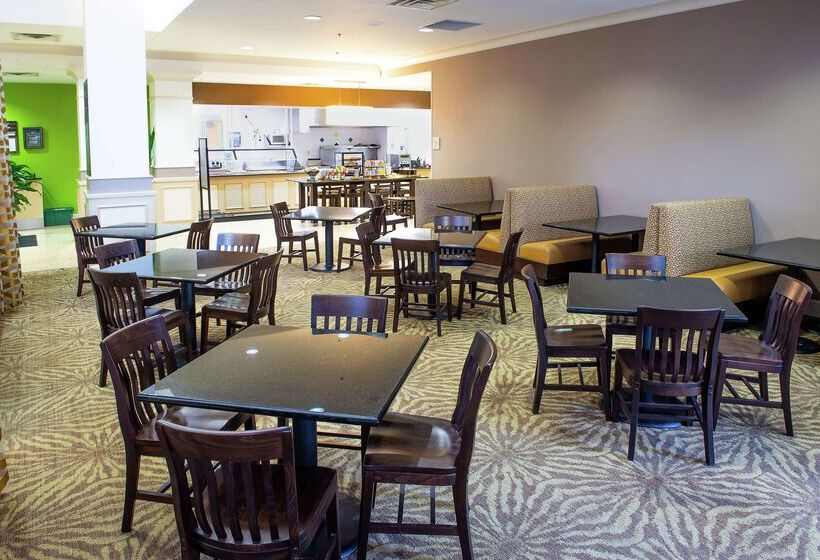 ホテル Hilton Garden Inn Rochester Downtown, Mn