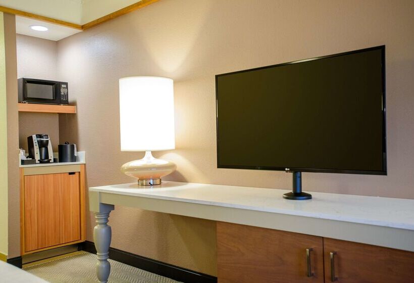 هتل Hilton Garden Inn Rochester Downtown, Mn