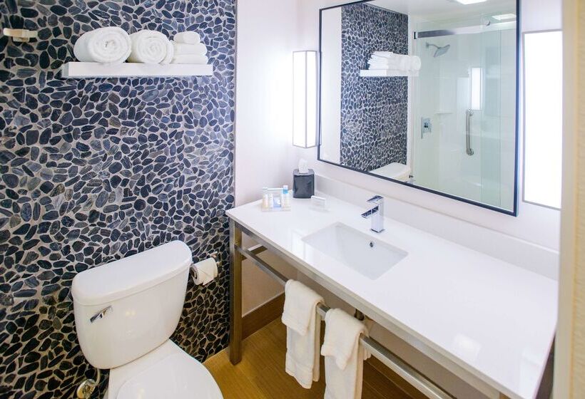 هتل Hilton Garden Inn Rochester Downtown, Mn