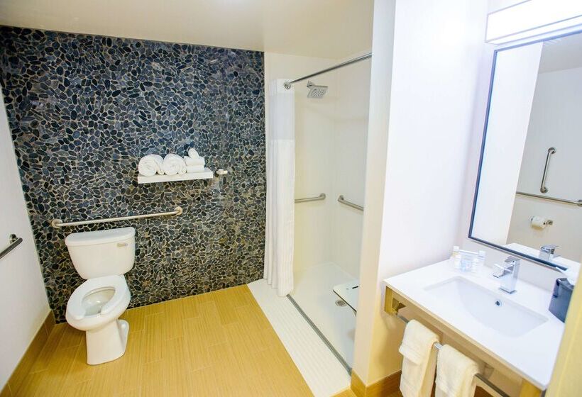 ホテル Hilton Garden Inn Rochester Downtown, Mn