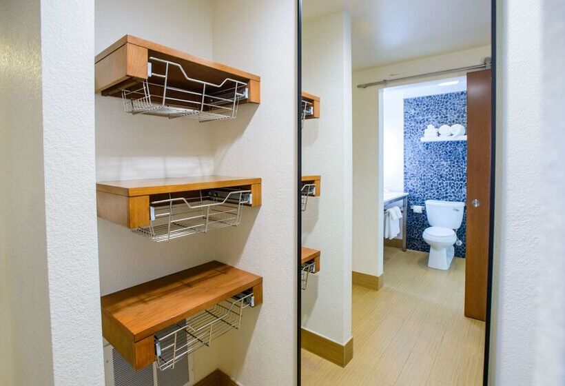 ホテル Hilton Garden Inn Rochester Downtown, Mn