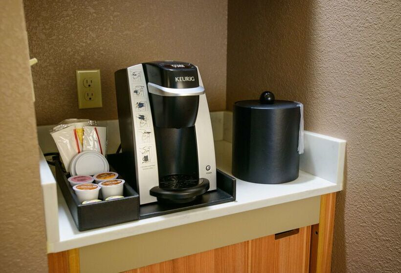 ホテル Hilton Garden Inn Rochester Downtown, Mn