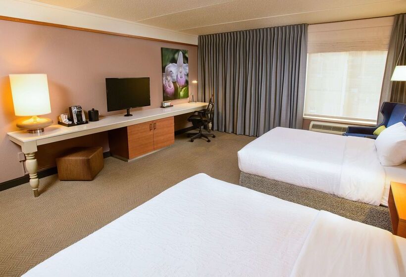 ホテル Hilton Garden Inn Rochester Downtown, Mn
