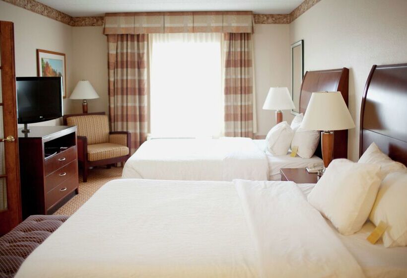 ホテル Hilton Garden Inn Rochester Downtown, Mn