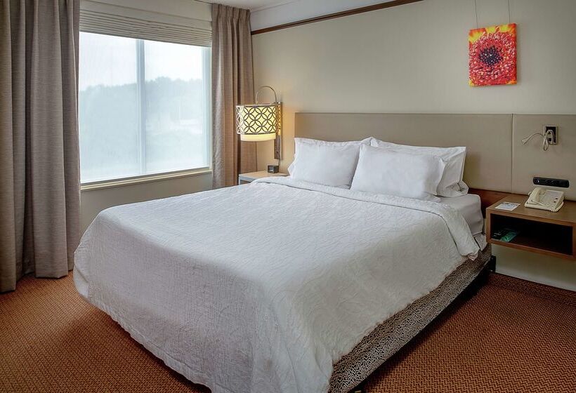 فندق Hilton Garden Inn Chesterfield