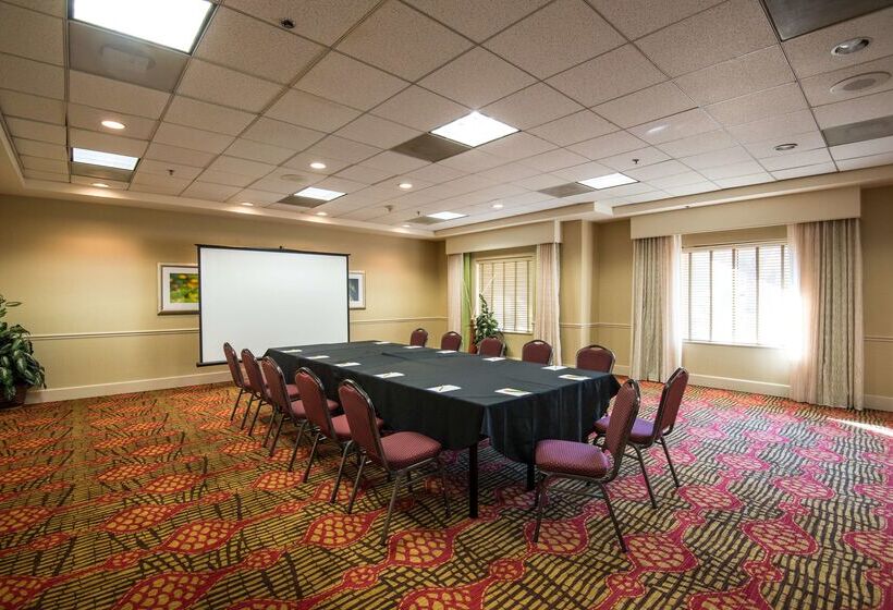 فندق Hilton Garden Inn Tampa Ybor Historic District