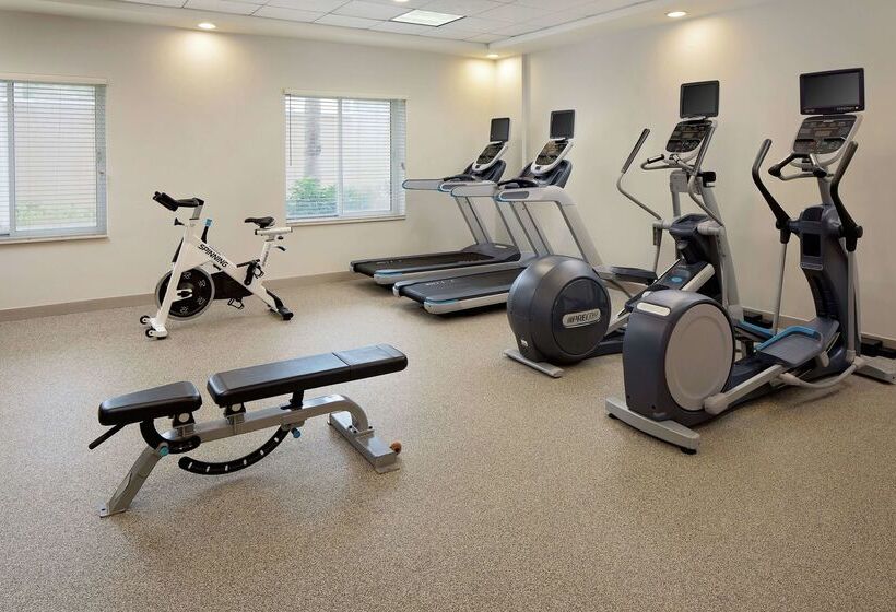 فندق Hilton Garden Inn Tampa Ybor Historic District