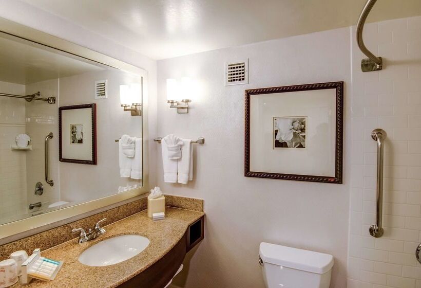 בית מלון כפרי Hilton Garden Inn Tampa Ybor Historic District