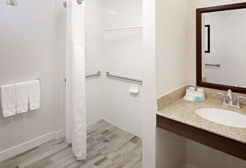 فندق Hilton Garden Inn Tampa Ybor Historic District