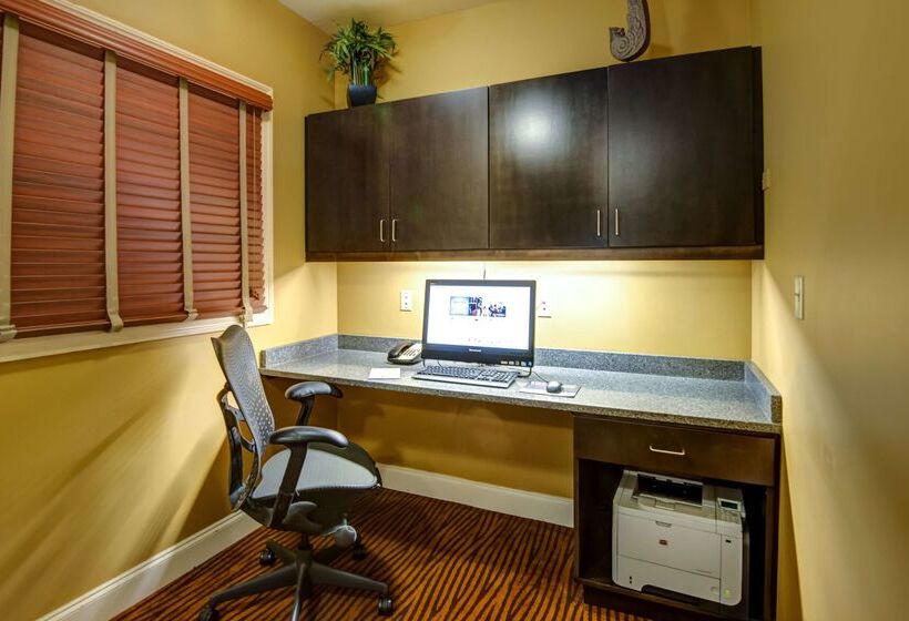 בית מלון כפרי Hilton Garden Inn Tampa Ybor Historic District