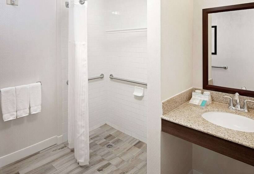 فندق Hilton Garden Inn Tampa Ybor Historic District