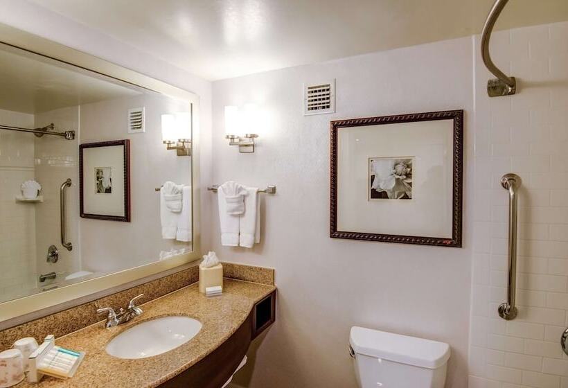 בית מלון כפרי Hilton Garden Inn Tampa Ybor Historic District