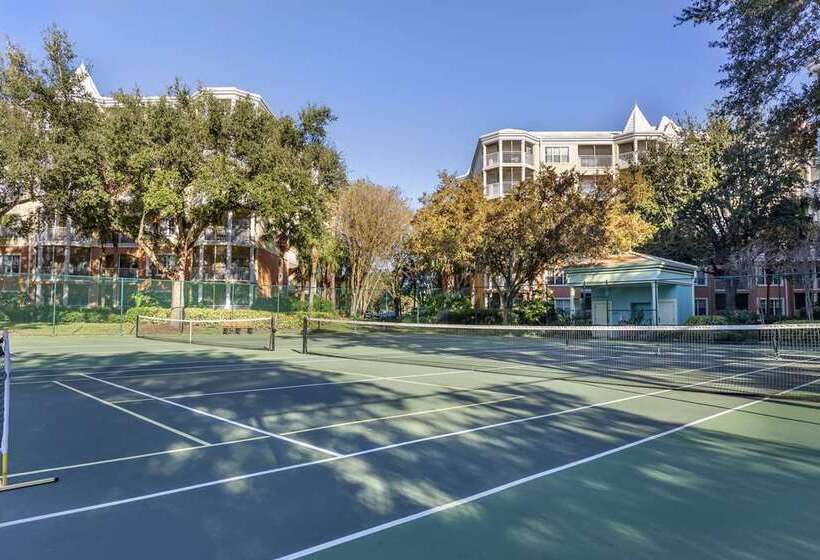 فندق Hilton Grand Vacations Club Seaworld® Orlando