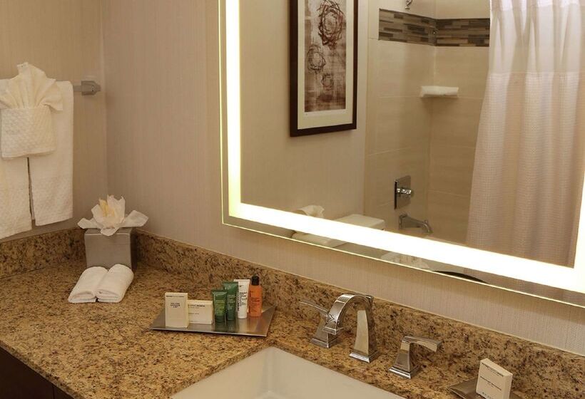 فندق Hilton Kansas City Airport