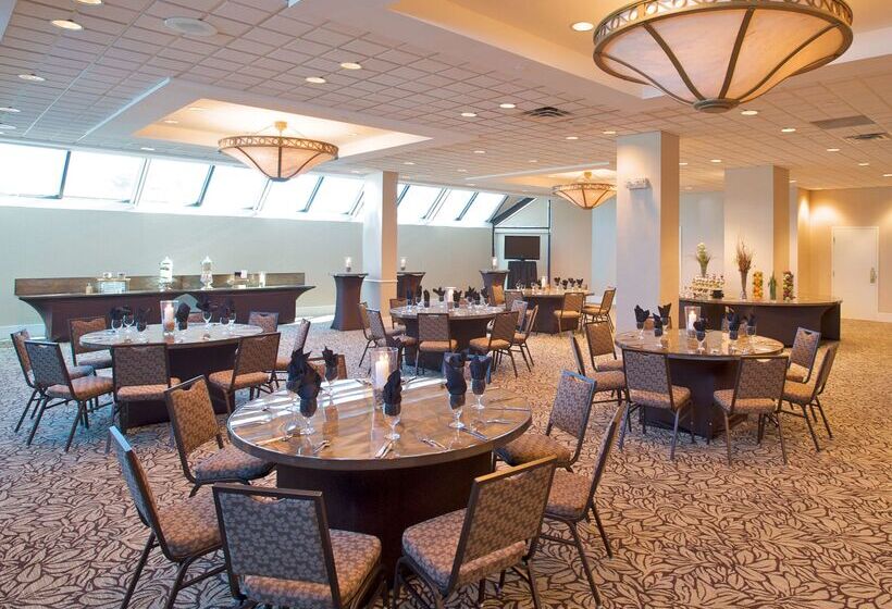 酒店 Hilton Minneapolisst. Paul Airport