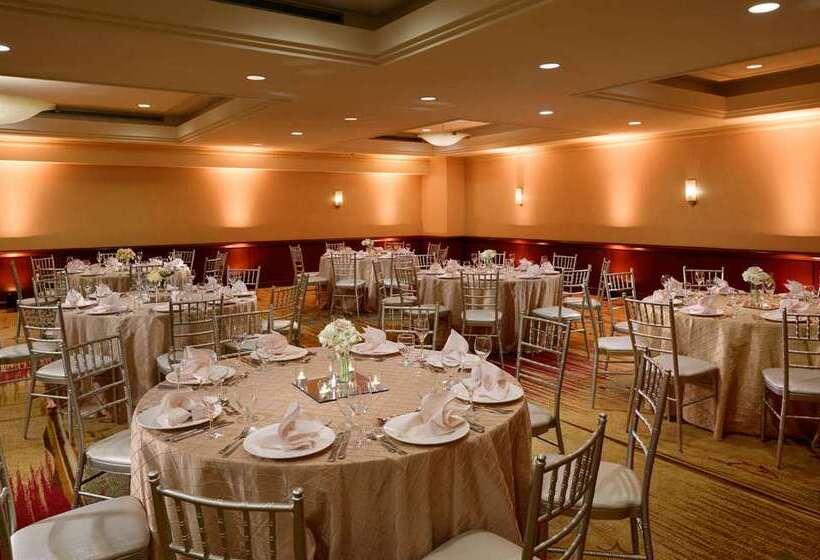 酒店 Hilton Washington Dulles Airport