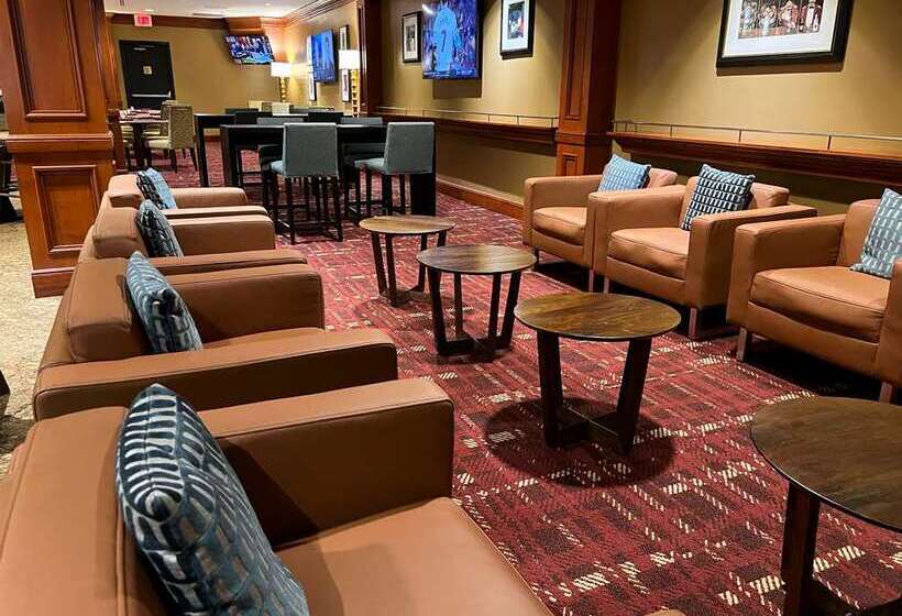 酒店 Hilton Washington Dulles Airport