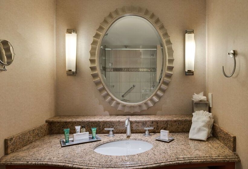 酒店 Hilton Washington Dulles Airport