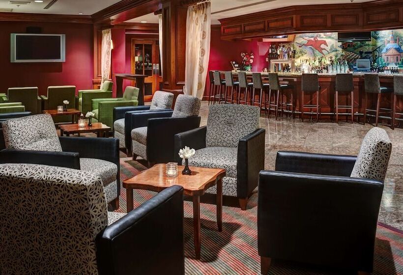 酒店 Hilton Washington Dulles Airport