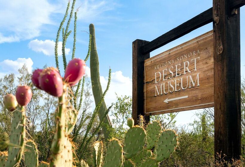 Отель Hyatt Place Tucson Central