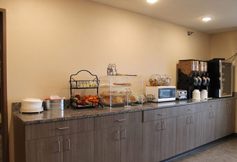 酒店 New Victorian Inn & Suites Lincoln