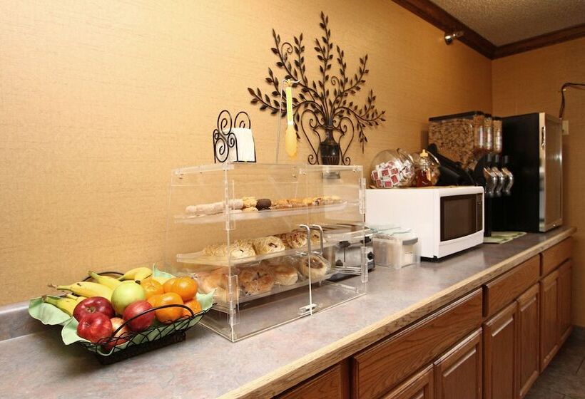 酒店 New Victorian Inn & Suites Lincoln