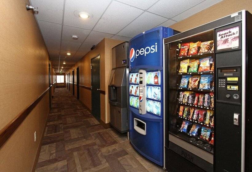 酒店 New Victorian Inn & Suites Lincoln