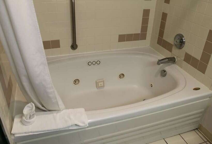 酒店 New Victorian Inn & Suites Lincoln