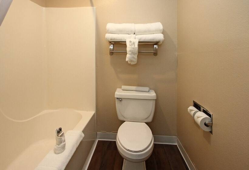 酒店 New Victorian Inn & Suites Lincoln