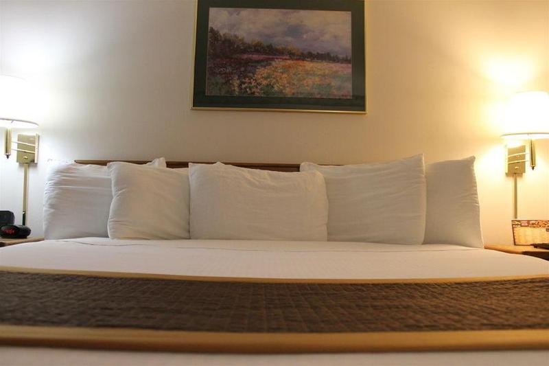 酒店 New Victorian Inn & Suites Lincoln