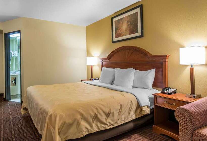 酒店 Quality Inn Colorado Springs South