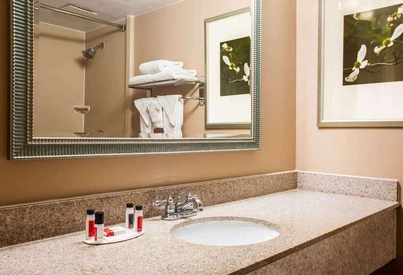 ホテル Ramada By Wyndham Statesville