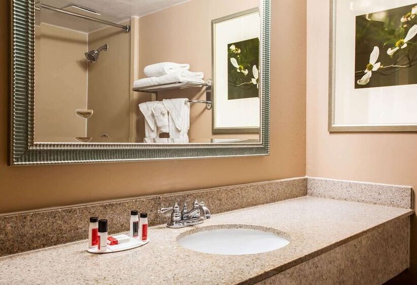 ホテル Ramada By Wyndham Statesville