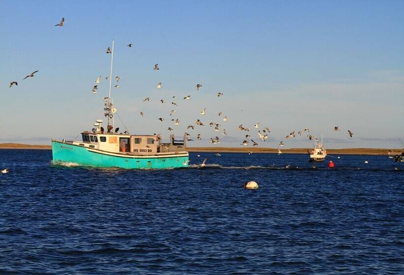 酒店 The Hawthorne